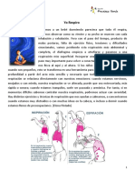 Yo-Respiro.pdf