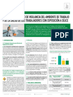 FICHA Resumen Protocolo de SíliceFinal (1).pdf