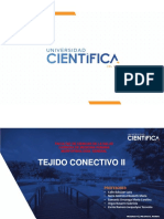 3 TEORÍA-TEJIDO CONECTIVO II.MORFO GENERAL-2020-1 (2)