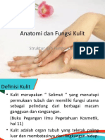 Anatomi Dan Fungsi Kulit