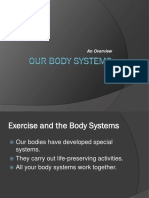 Our Body Systems An Overview