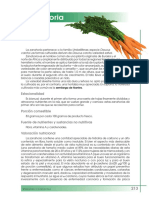 2013-zanahoria.pdf