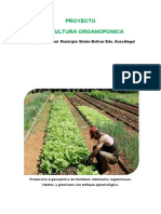 Proyecto de Agricultura Organopónica