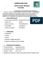 Curriculum Vitae