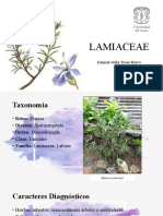 Lamiaceae: Hierbas, arbustos y plantas aromáticas