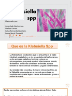 Presentacion de La Klebsiella