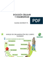 Biología Celular y Homeostasis (Morfologia) PDF