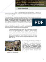 interculturalidad.pdf