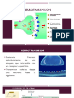 Neurotransmisores WEB