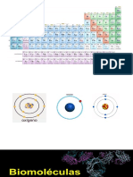 Diapositivas Biomoleculas