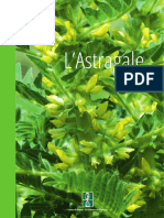 PLANTES MEDICINALES - ASTRAGALE - Lettre-IESV-Astragale