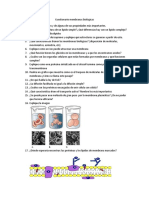 Cuestionario Membranas Biológicas