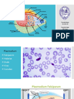 PLASMODIUM