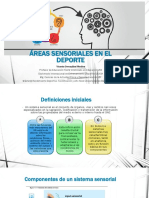 Áreas Sensoriales en El Deporte PDF