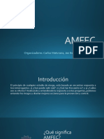 AMFEC