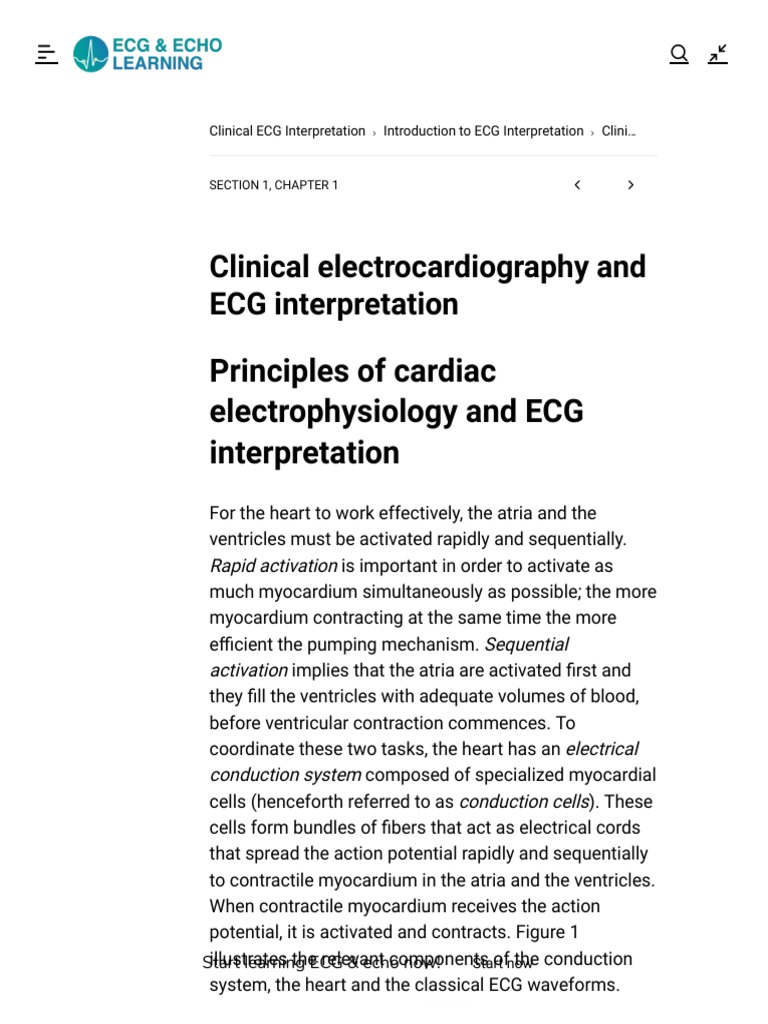ECG Basics and Cardiac Function | PDF | Electrocardiography | Cardiac ...