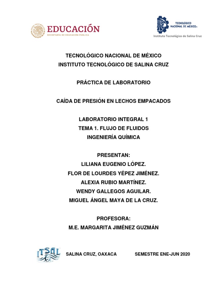 2 PRÁCTICA FLUJO DE FLUIDOS LECHOS EMPACADOS Flor PDF | PDF ...