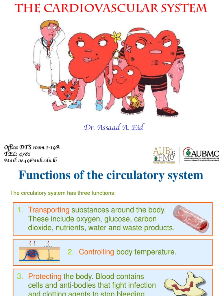 Cardiovascular System - Lecture 3-2018-2019 PDF | Download Free PDF ...