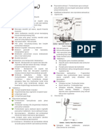 Rangkuman Fungi PDF