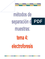 Tema 4 - Electroforesis 2019 PDF