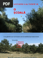 scoala-animalelor