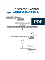 Cuadro Conceptual 1