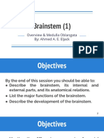 Brainstem (1) : Overview & Medulla Oblangata By: Ahmed A. E. Eljack