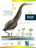 Aves Nichupte 2017 PDF