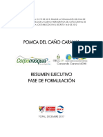 Documento Final. Resumen Ejecutivo Formulación. POMCA CARANAL