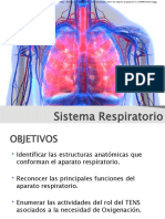 Sistema Respiratorio2020