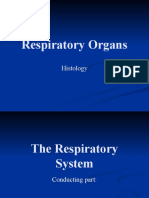 269327 Respiratory