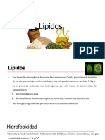 Lípidos: biomoléculas energéticas y estructurales