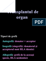 Transplant Curs 14