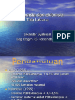 Preeklamsia Dan Eklamsia