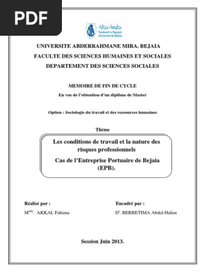 Les Conditions De Travail Et La Nature Des Risques Professionnels Cas De L Entreprise Portuaire De Bejaia Epb Pdf Sante Et Securite Au Travail Risque