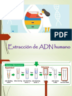 2-Extraccion de ADN humano PLUS KIT (1)