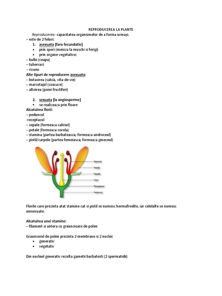 FUNCTIA DE REPRODUCERE - Reproducerea La Plante | PDF