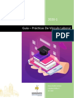 Guía prácticas vínculo laboral