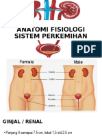 Anatomi Fisiologi Sistem Perkemihan