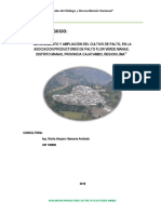 414390800-PLAN-DE-NEGOCIO-PALTO-pdf.pdf