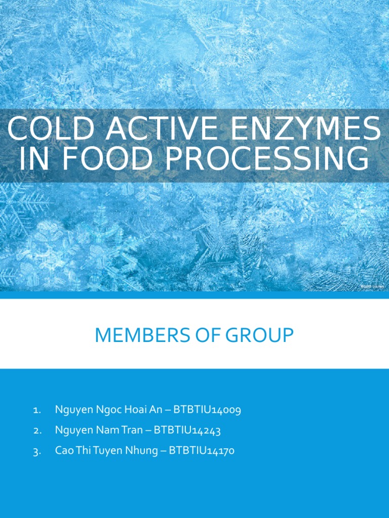 Cold Active Enzymes in Food Processing Updated PDF Active Site Enzyme