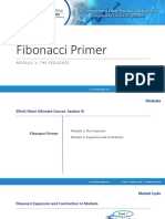 Fibonacci Webinar PDF