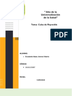 Flujo laminar y transición en cuba de Reynolds