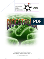 Biocataliza