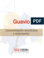 Caracterizacion Empresarial Guavio PDF
