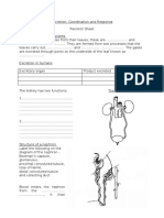 Excretion and Coordination and Response Revision Sheet