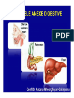 Curs Digestiv 3 (2019) (Studenti) PDF