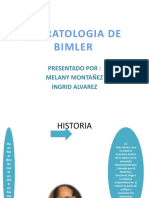Aparatología Bimler: tipos de modeladores básicos