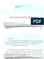 (57) Teologia do Novo Testamento.pdf