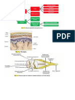 Imagini Neuro